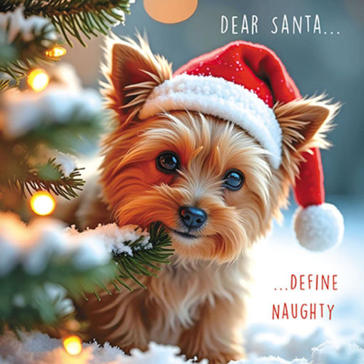 Picture of DEAR SANTA DEFINE NAUGHTY CHRISTMAS CARD